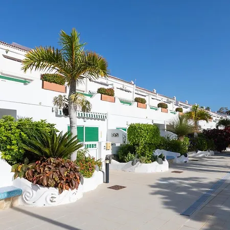 Apartamento Live Don Jose 205 Arona (Tenerife)